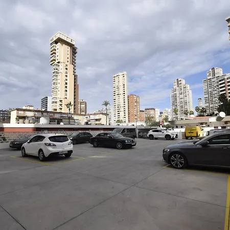 Caballos 2d - Estudio - Arena