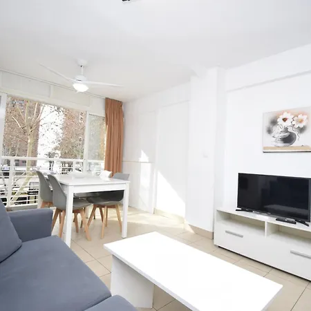 Caballos 2d - Estudio - Arena *