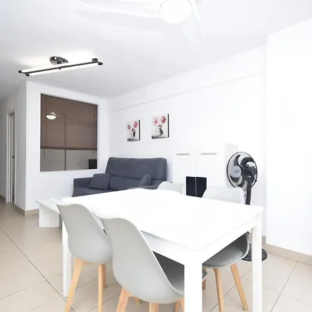 Caballos 2d - Estudio - Arena *