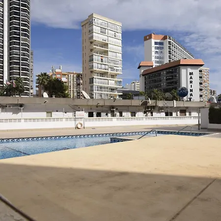 Caballos 2d - Estudio - Arena Бенидорм