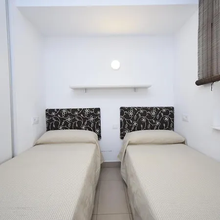 Caballos 2d - Estudio - Arena * Бенидорм