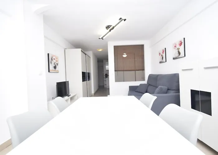 Caballos 2d - Estudio - Arena Daire *