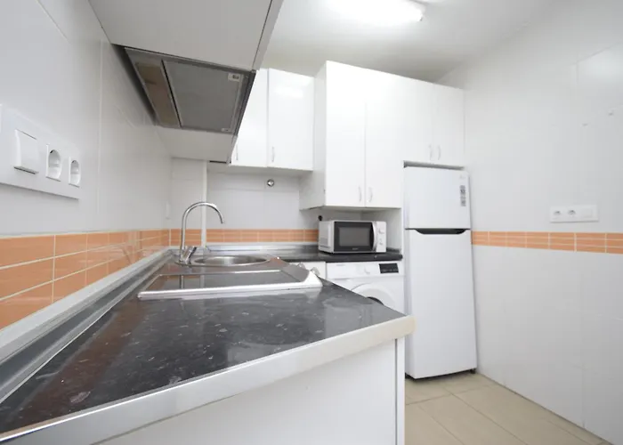 Caballos 2d - Estudio - Arena Daire Benidorm