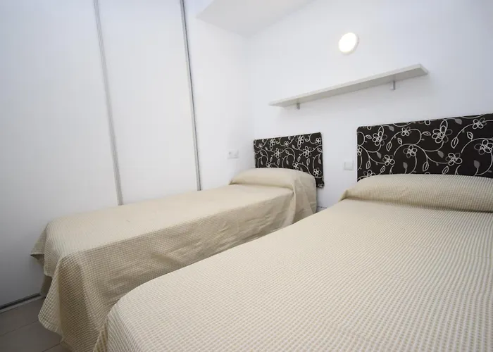 Caballos 2d - Estudio - Arena Daire *