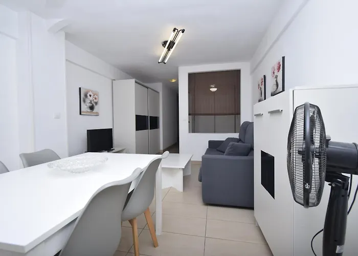 Caballos 2d - Estudio - Arena Daire