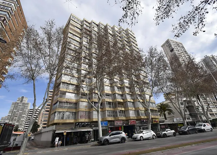 Caballos 2d - Estudio - Arena Daire Benidorm
